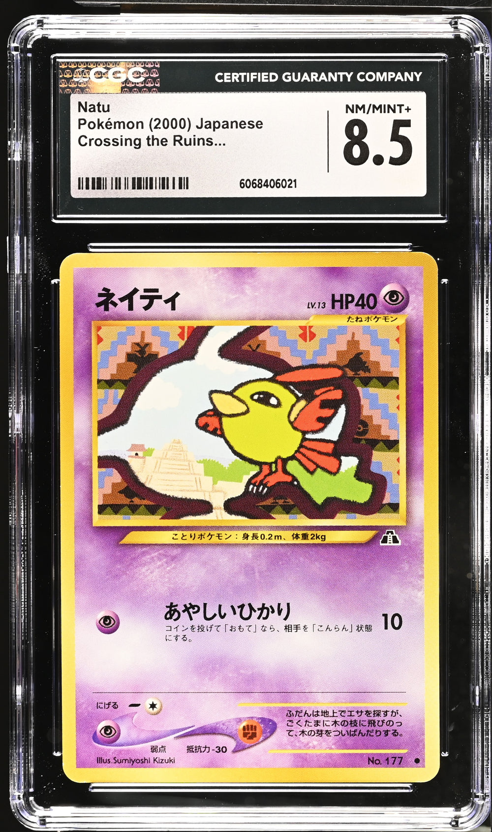 POKEMON TCG: CROSSING THE RUINS - NATU - 177 (NON-HOLO) (JAPANESE) (GRADED / CGC 8.5) (📌 CONDITION 9.5)