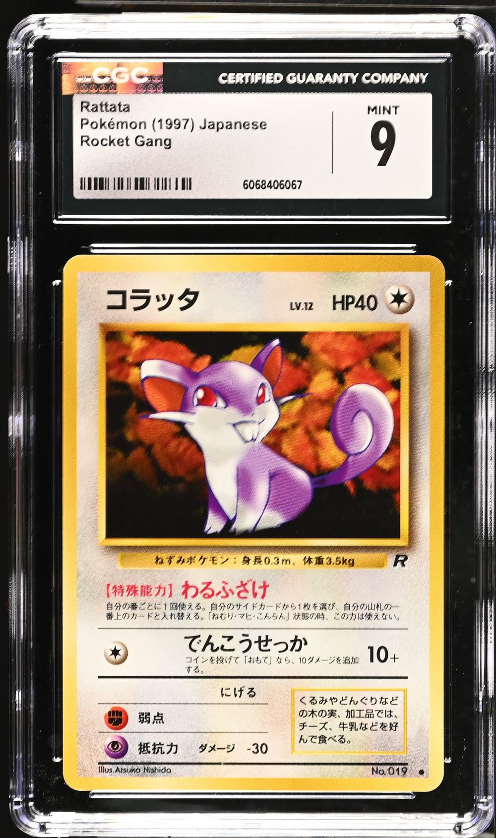 POKEMON TCG: ROCKET GANG - RATTATA - 019 (NON-HOLO) (JAPANESE) (GRADED / CGC 9) (📌 CONDITION 9.5)
