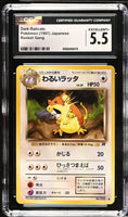 
              POKEMON TCG: ROCKET GANG - DARK RATICATE - 020 (NON-HOLO) (JAPANESE) (GRADED / CGC 5.5) (📌 CONDITION 9.5)
            