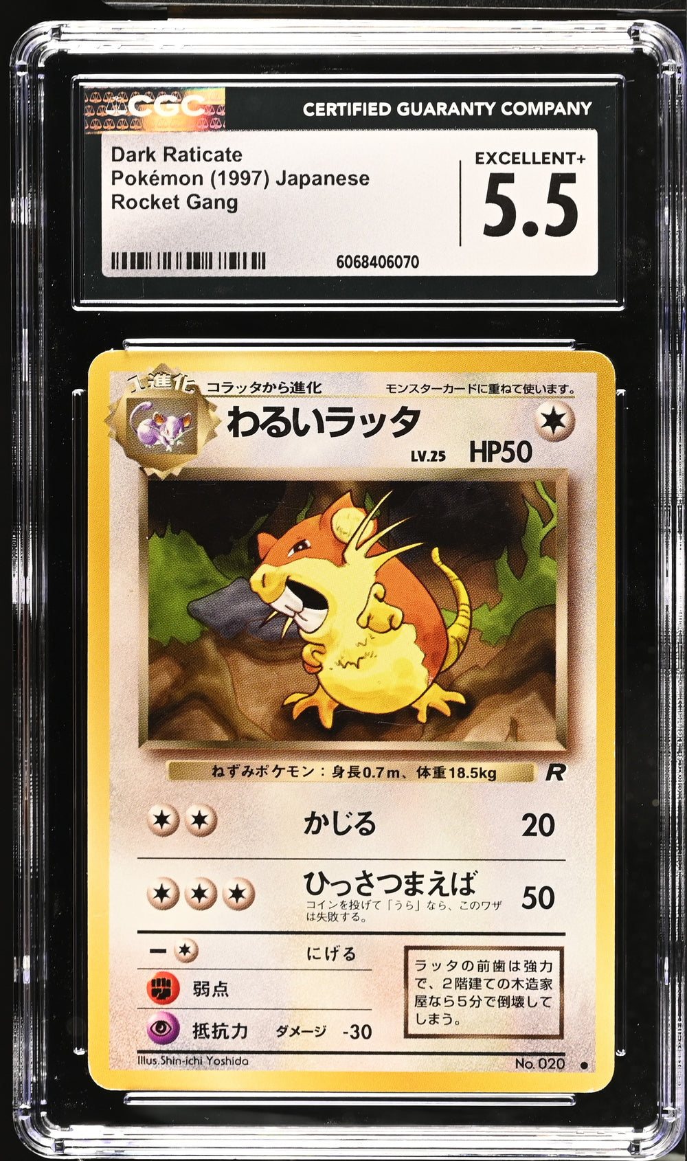 POKEMON TCG: ROCKET GANG - DARK RATICATE - 020 (NON-HOLO) (JAPANESE) (GRADED / CGC 5.5) (📌 CONDITION 9.5)