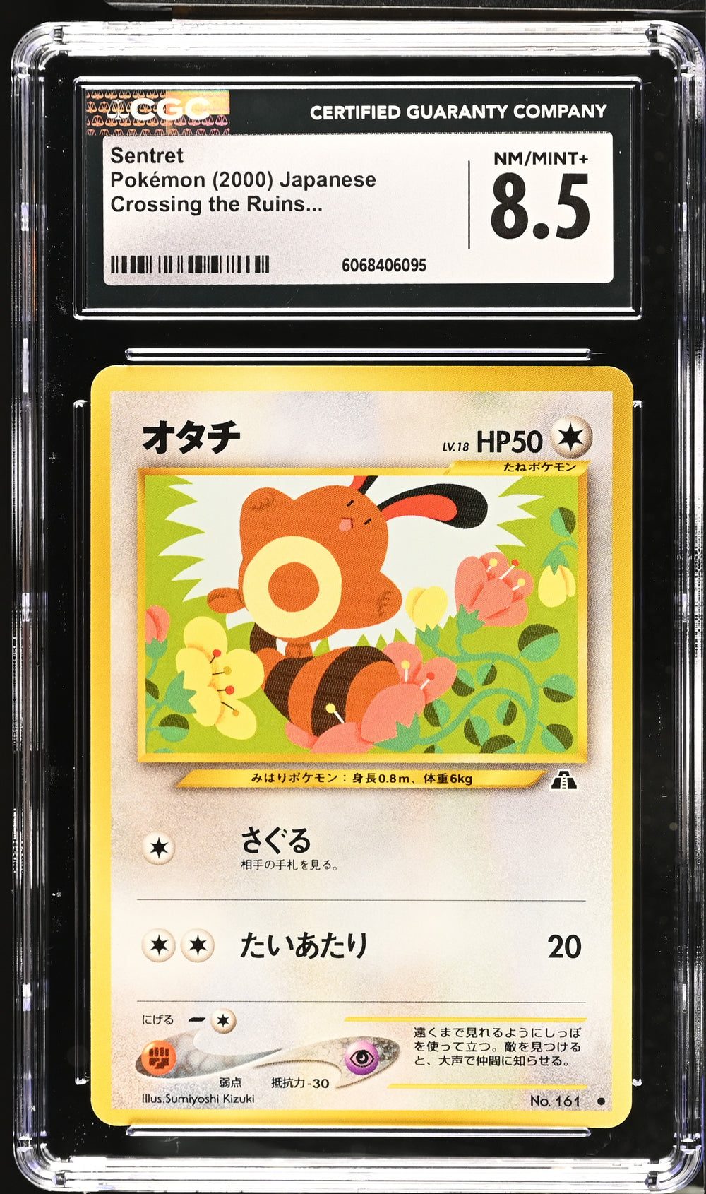 POKEMON TCG: CROSSING THE RUINS - SENTRET - 161 (NON-HOLO) (JAPANESE) (GRADED / CGC 8.5) (📌 CONDITION 9.5)