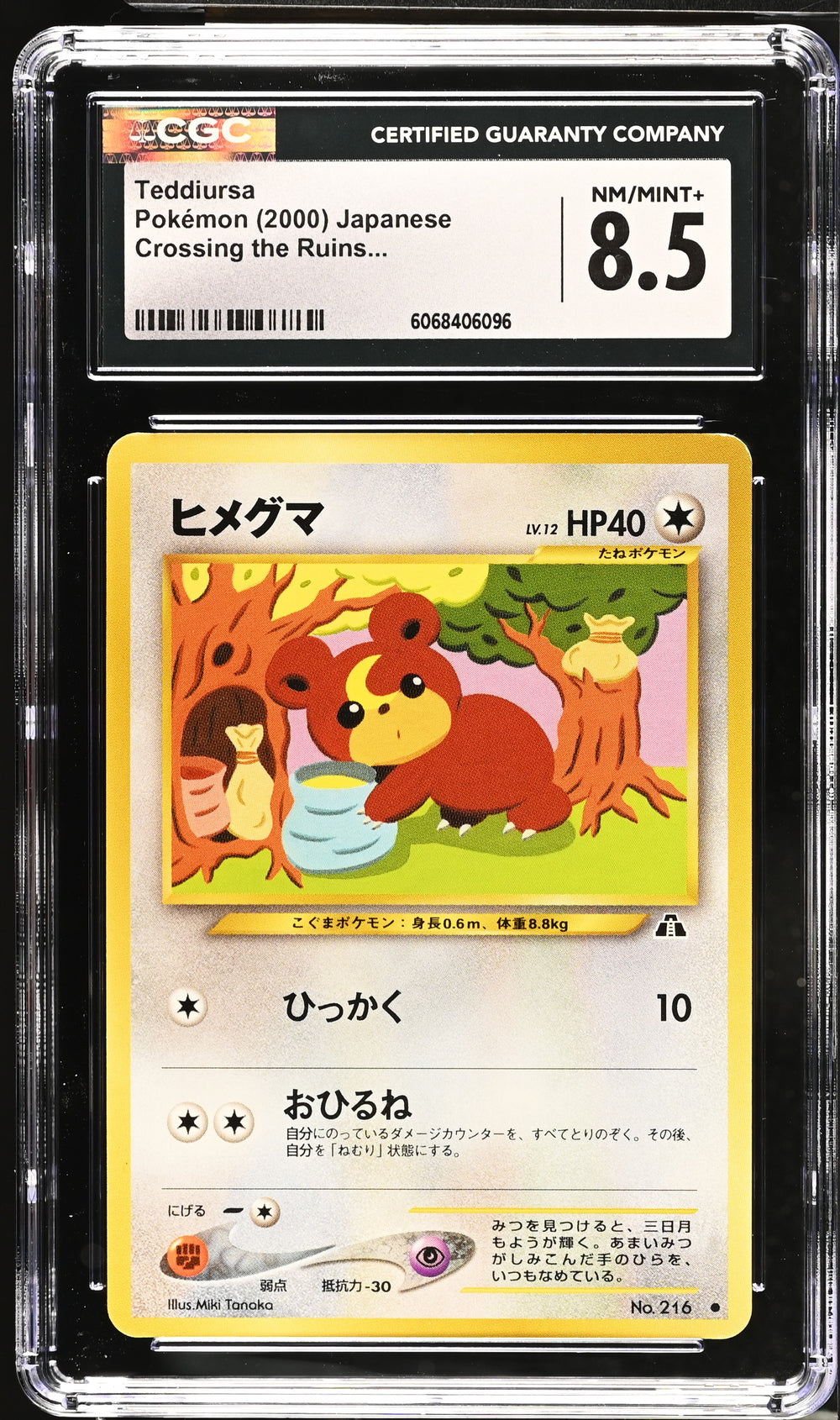 POKEMON TCG: CROSSING THE RUINS - TEDDIURSA - 216 (NON-HOLO) (JAPANESE) (GRADED / CGC 8.5) (📌 CONDITION 9.5)