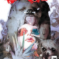 DC COMICS HARLEY QUINN VOL. 3 ISSUE #7 (BILL SIENKIEWICZ VARIANT COVER) (JAN 2017) (📌 CONDITION 9.5)