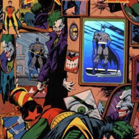DC COMICS ROBIN II: JOKERS WILD ISSUE #2 (MINI-SERIES) (ROOM OF PAINTING'S VARIANT W/ HOLOGRAM) (NOV 1991) (📌 CONDITION 8.5/9.0)